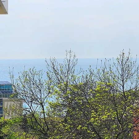 Luxury 2 Room Flat Free Parking And Wifi Apartment *