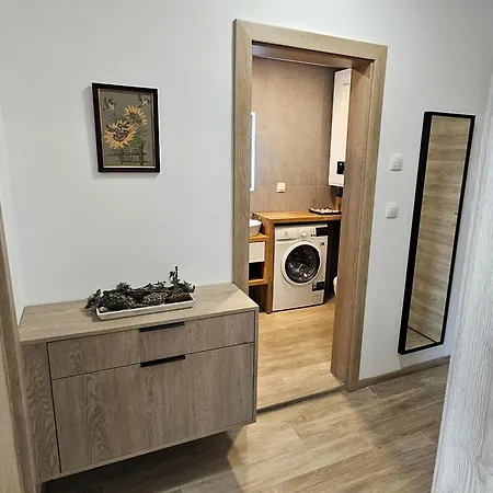 Apartment Luxury 2 Room Flat Free Parking And Wifi *